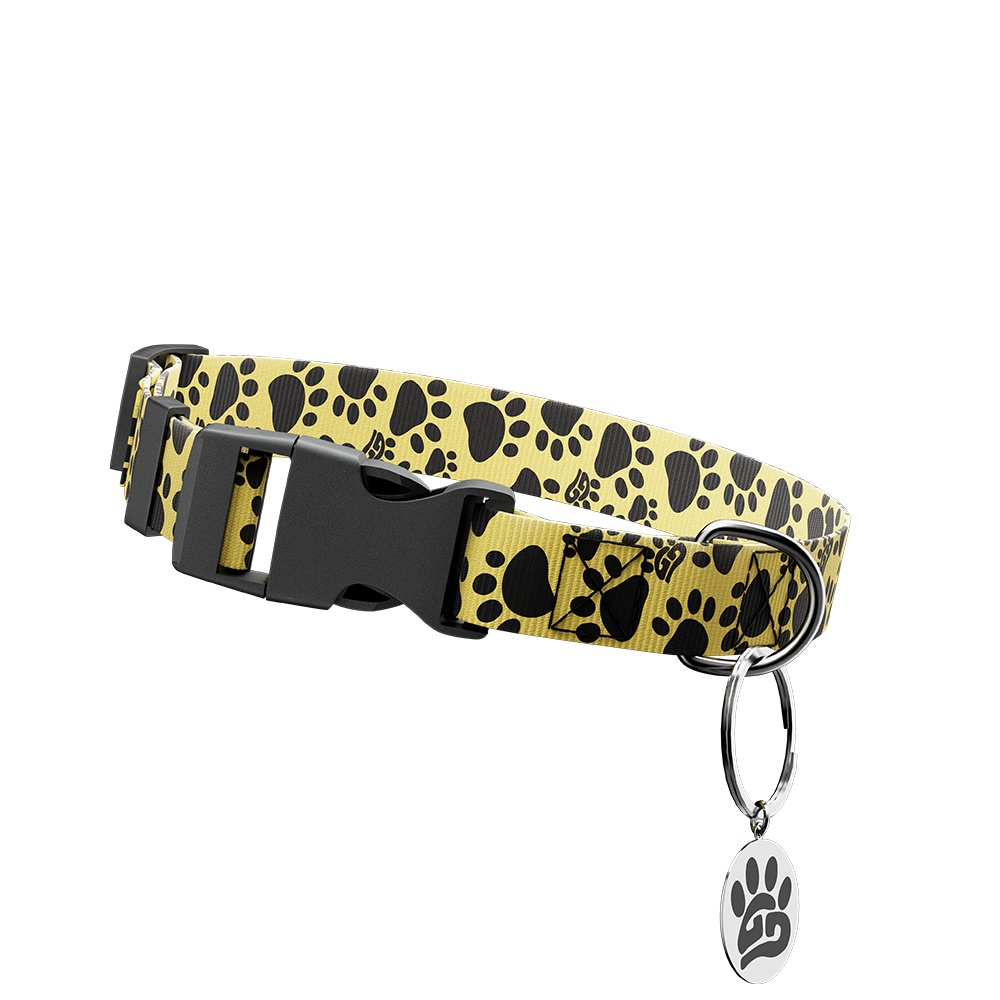 WOOF: Dog Leash & Collar - Gamer Supps