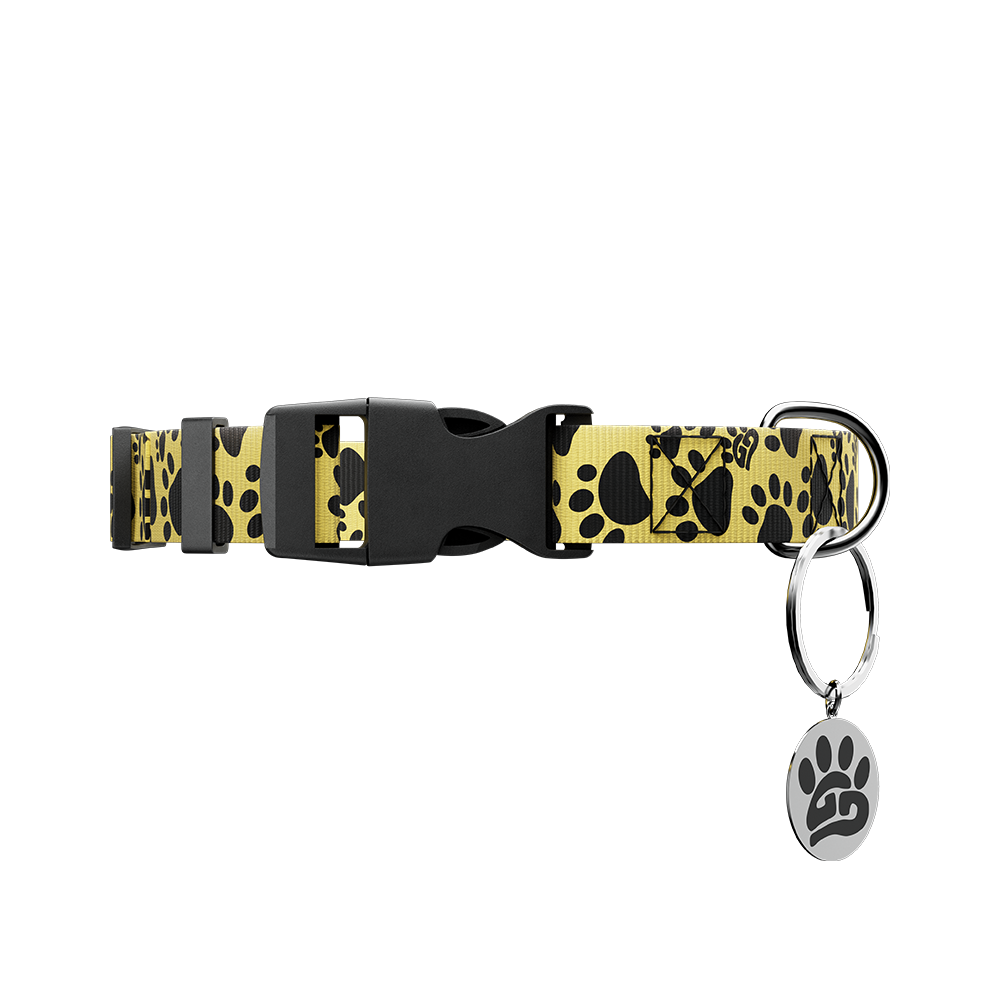WOOF: Dog Leash & Collar - Gamer Supps
