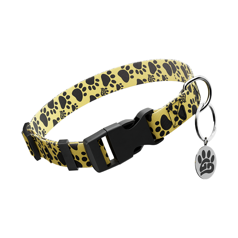 WOOF: Dog Leash & Collar - Gamer Supps