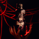 Waifu Cups x Layna Lazar: Blood Queen Metal Tumbler